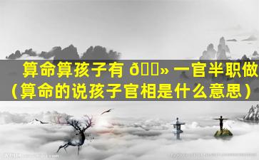 算命算孩子有 🌻 一官半职做（算命的说孩子官相是什么意思）